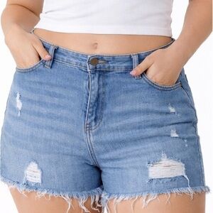 Aerie Women's Distressed Denim Shorts Size Large Light
Wash stretchy waistband